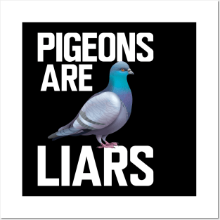 Pigeon - Pigeons are liars w. Posters and Art